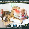 imageDinosaur Toys for Kids 357 with Stickers Remote Control Dinosaur Toys with 3D Eyes Shaking Head Roaring Sounds Demo Function Realistic Jurassic Toy for 3 4 5 6 7 8 Year Old Boys Gifts BrownBrown